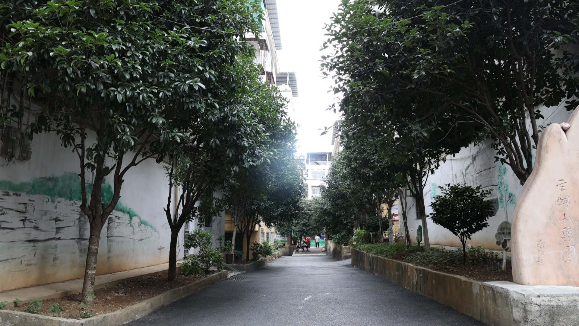 系列报道 城市更新-1.bmp